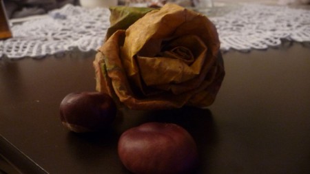Jesenný kvet